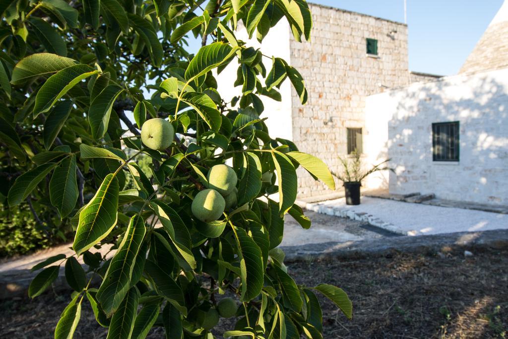 Maison Milleottocento Cisternino Ngoại thất bức ảnh