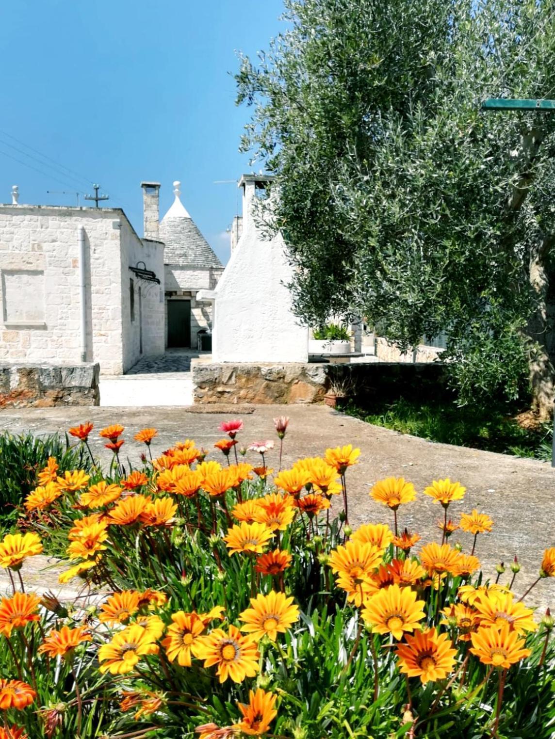 Maison Milleottocento Cisternino Ngoại thất bức ảnh